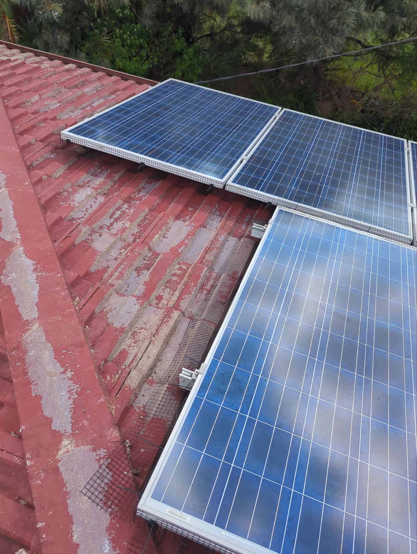 Solar panels equipped with pigeon proofing mesh