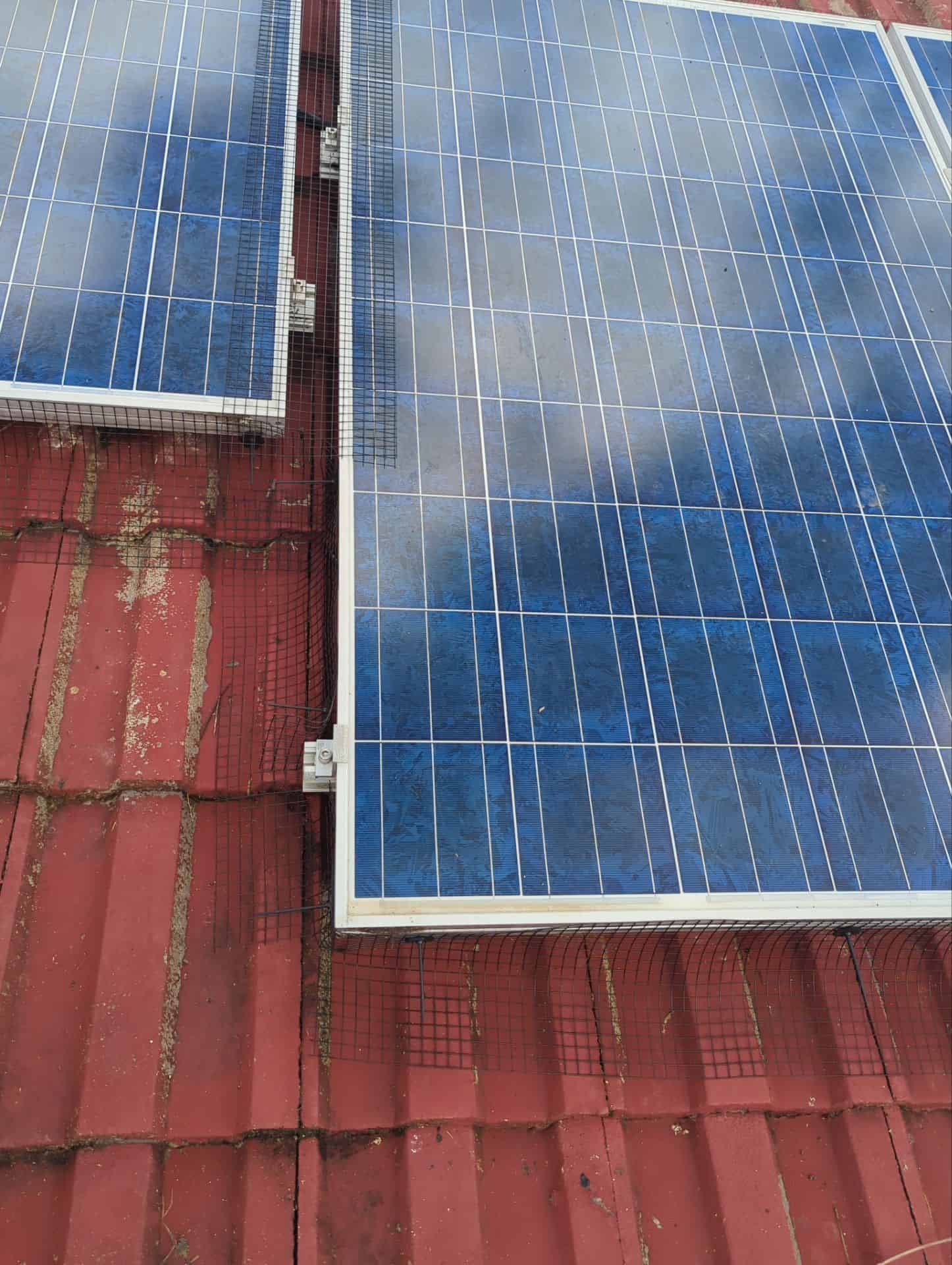 Solar panels equipped with pigeon proofing mesh