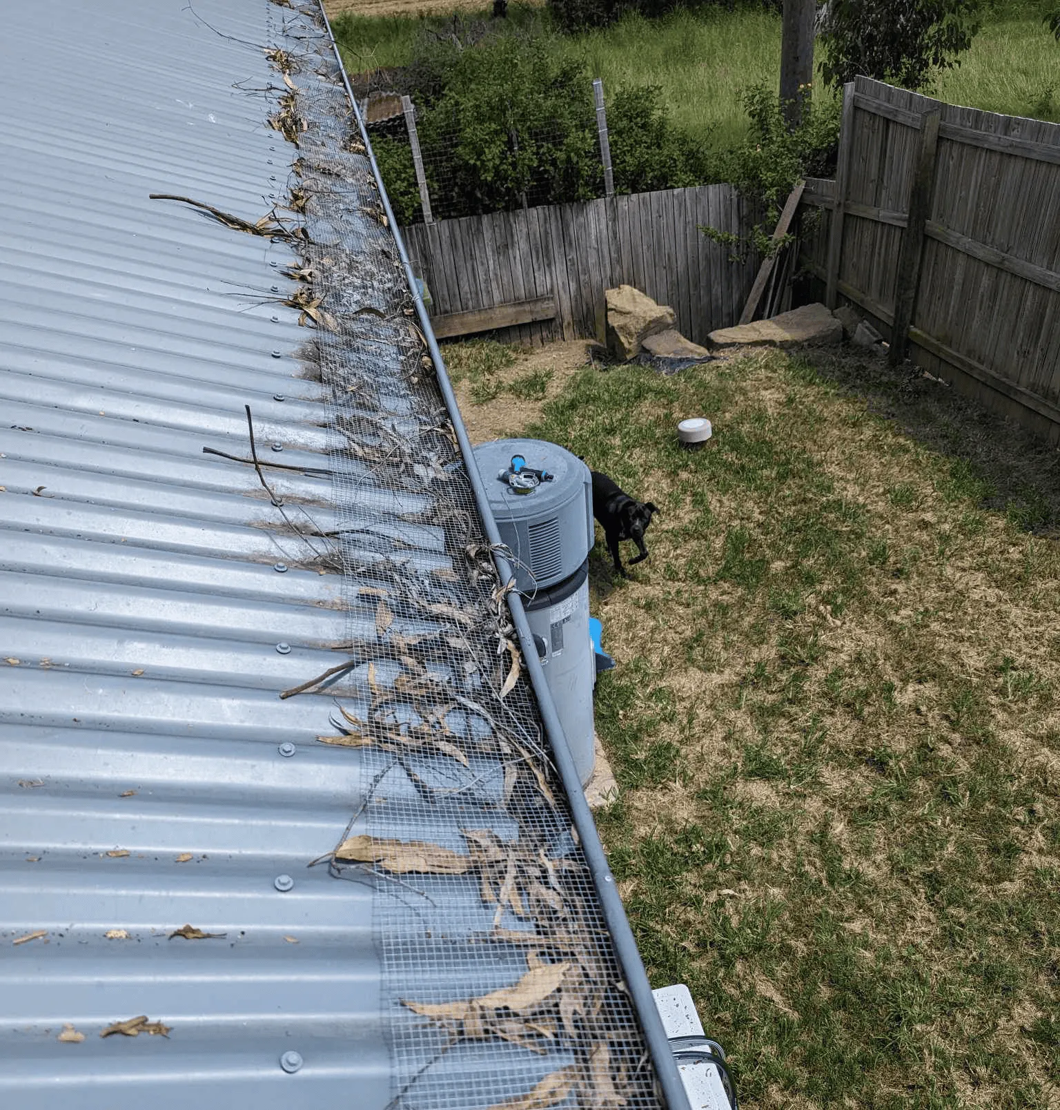 View of house's gutters and backyard. The gutters are filled with leaves and debris.