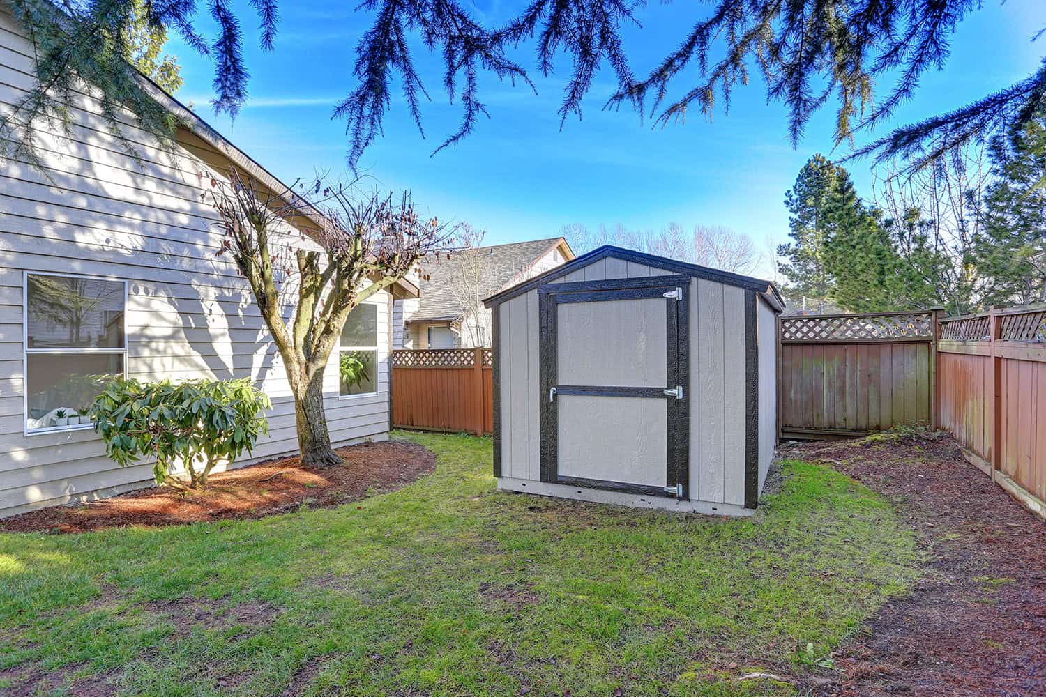 Newly built shed in a backyard